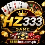 HZ333 Game