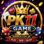 PK11 Game