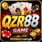 QZR88 Game